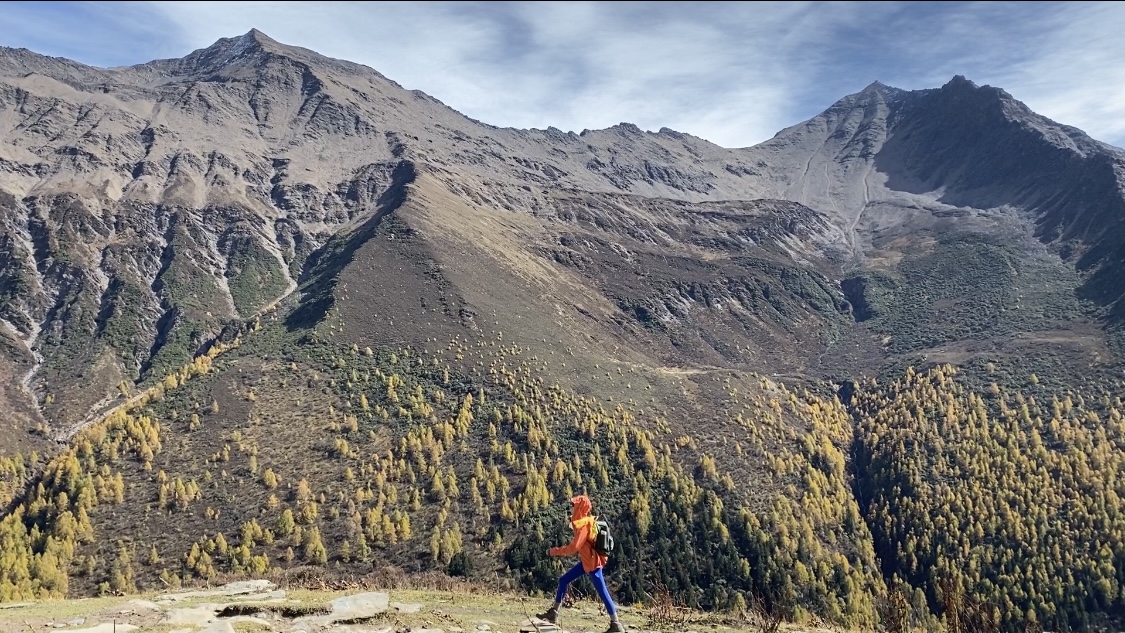 抖音双击杂点：手机屏幕清洁小技巧与日常维护指南_免费双击快手自助下单